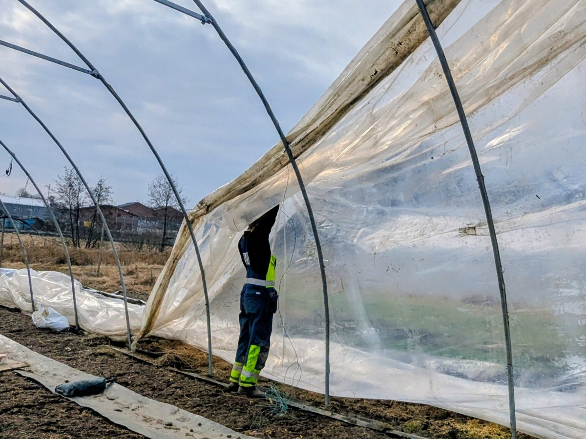 Dags att flytta caterpillar-tunneln!